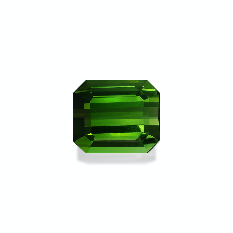 RECTANGULAR-cut Green Tourmaline Moss Green 8.28 carats