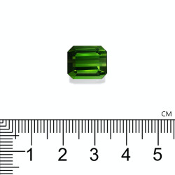 Rechthoekig geslepen groene toermalijn, mosgroen, 8,28 karaat