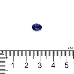 Ovale blauwe saffier Blauw 1,61 karaat