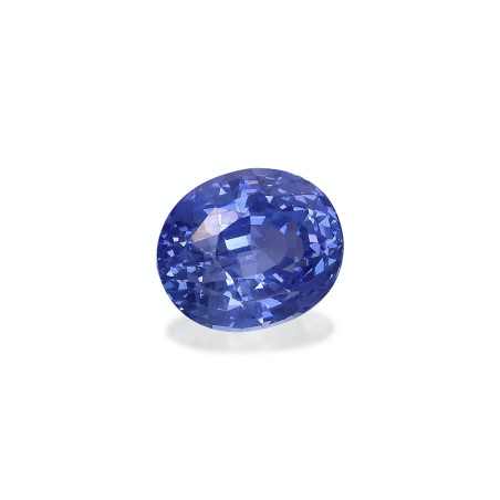 Blauer Saphir lengte OVAL Blau 3.55 karaten