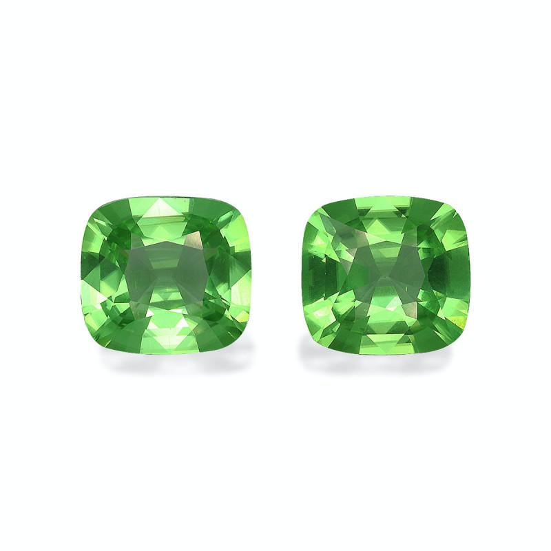 Péridot taille COUSSIN 绿色 15.87 carats
