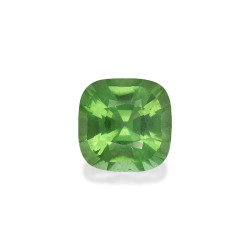 Peridoto taille COUSSIN...