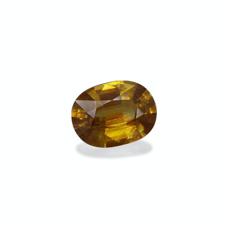 钛鈦矿 taille 椭圆形  10.02 carats