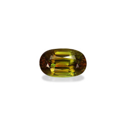钛鈦矿 taille 椭圆形 橄榄绿 7.44 carats