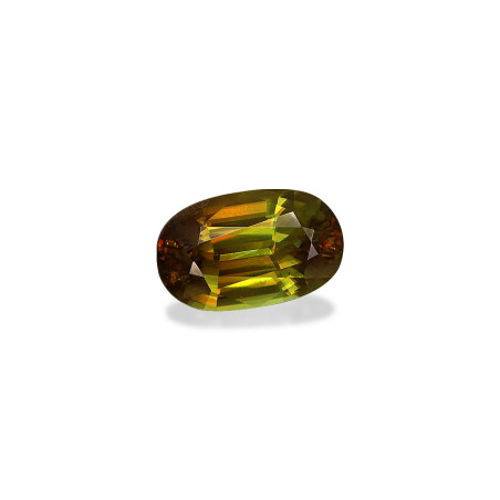 钛鈦矿 taille 椭圆形 橄榄绿 7.44 carats