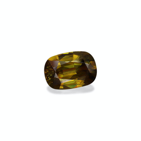 钛鈦矿 taille 靠垫 绿色 5.85 carats