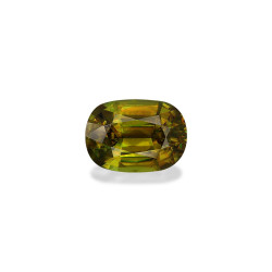 钛鈦矿 taille 靠垫 绿色 7.98 carats