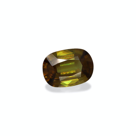 钛鈦矿 taille 靠垫 绿色 5.90 carats