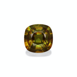 CUSHION-cut Sphene  8.72...