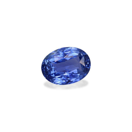 Blauer Saphir lengte OVAL Blau 3.66 karaten