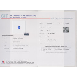 Ovale blauwe saffier Blauw 3,66 karaat