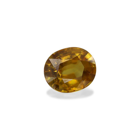钛鈦矿 taille 椭圆形 黄色 4.63 carats