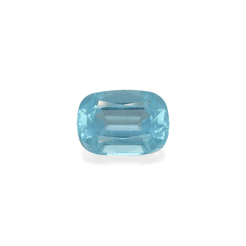 海蓝宝 taille 靠垫 北极蓝 42.84 carats