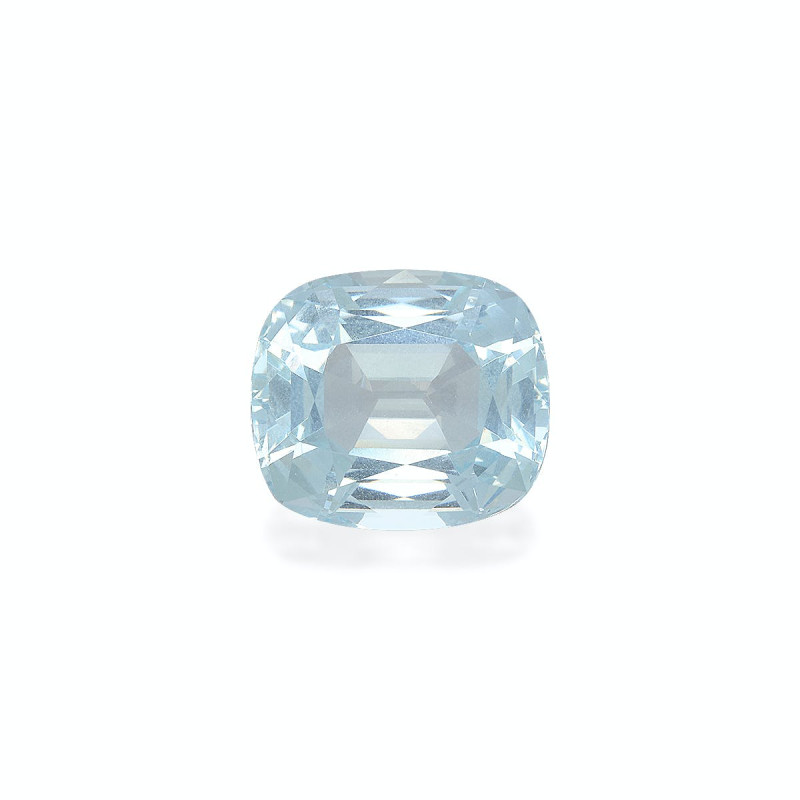 海蓝宝 taille 靠垫 绿色 17.25 carats