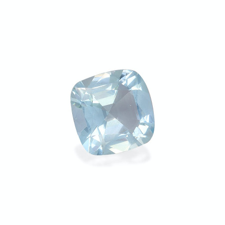 海蓝宝 taille 靠垫 绿色 18.41 carats
