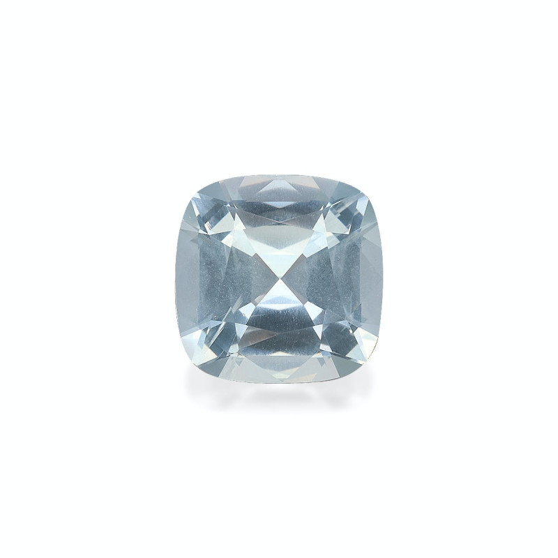 海蓝宝 taille 靠垫 蓝天 13.56 carats