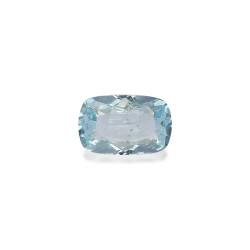 海蓝宝 taille 靠垫 蓝天 10.16 carats