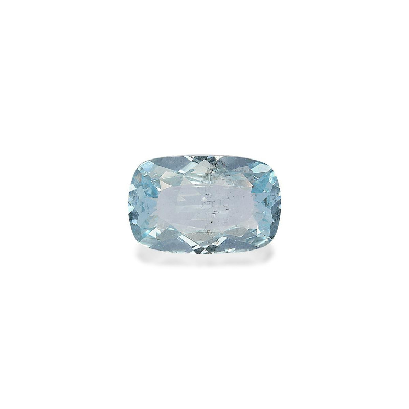 海蓝宝 taille 靠垫 蓝天 10.16 carats