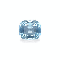 海蓝宝 taille 靠垫 绿色 4.18 carats