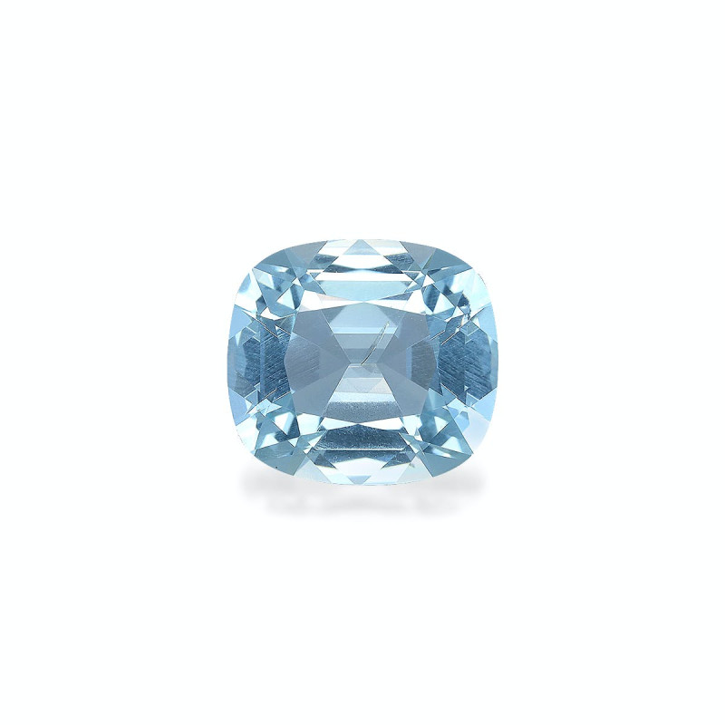 海蓝宝 taille 靠垫 绿色 4.18 carats