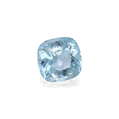 海蓝宝 taille 靠垫 蓝天 23.95 carats