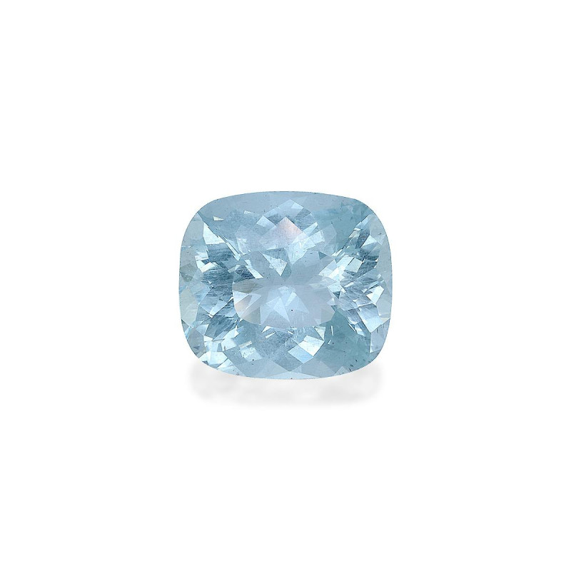 海蓝宝 taille 靠垫 蓝天 20.48 carats