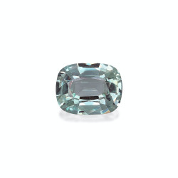 变石蓝晶石 taille 靠垫 绿色 1.60 carats