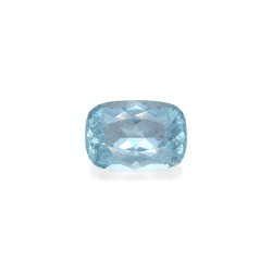 海蓝宝 taille 靠垫 蓝天 29.98 carats