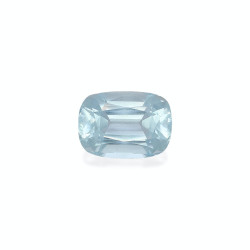 海蓝宝 taille 靠垫 蓝天 10.67 carats