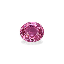 Rosa Saphir lengte OVAL...