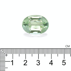 Ovale geslepen groene toermalijn van 14,32 karaat