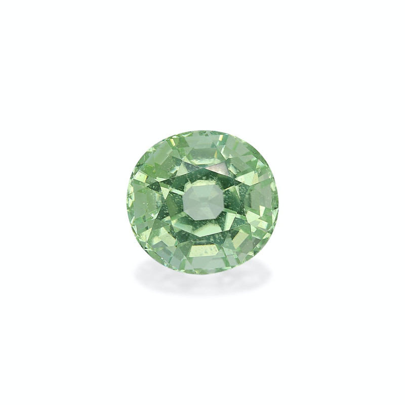 Tourmaline Verte taille OVALE  6.61 carats