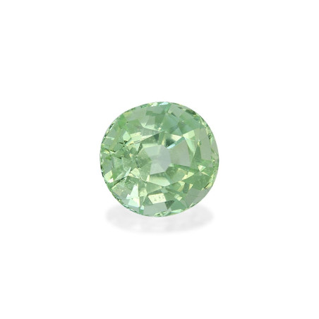 Turmalina Verde taille OVALE  6.61 carats