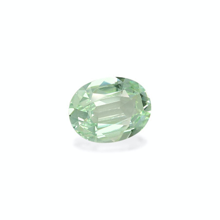 Turmalina Verde taille OVALE  8.63 carats