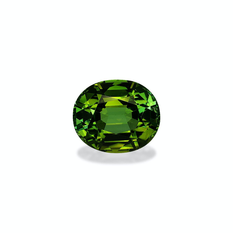 Tourmaline Verte taille OVALE Vert 14.20 carats