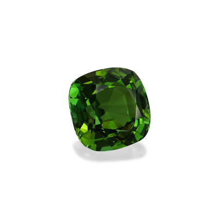 Turmalina Verde taille COUSSIN Forest Green 12.76 carats
