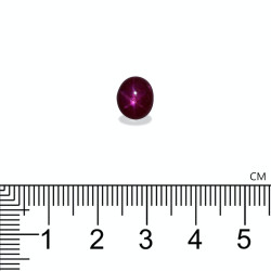 Rubis Etoil&eacute; taille OVALE Rouge 4.45 carats