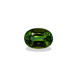 Gr&uuml;ner Turmalin lengte OVAL Waldgr&uuml;n 28.05 karaten