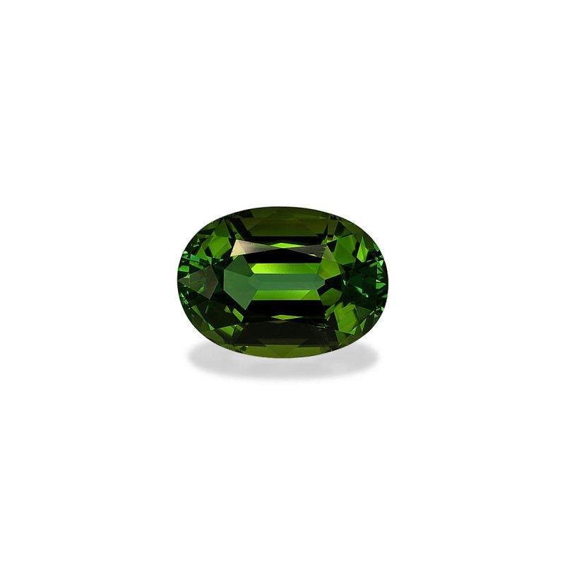 Tourmaline Verte taille OVALE Forest Green 28.05 carats