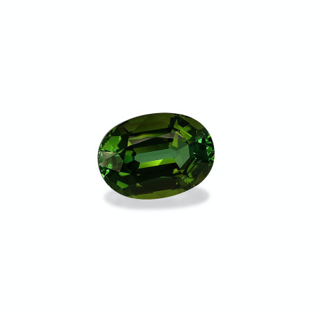 Turmalina Verde taille OVALE Forest Green 28.05 carats