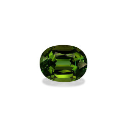 Gr&uuml;ner Turmalin lengte OVAL Waldgr&uuml;n 21.76 karaten