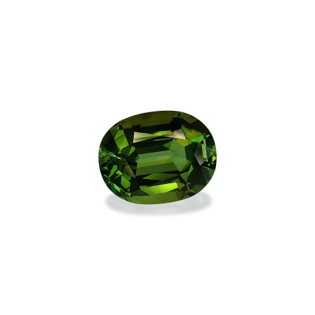 Gr&uuml;ner Turmalin lengte OVAL Waldgr&uuml;n 21.76 karaten