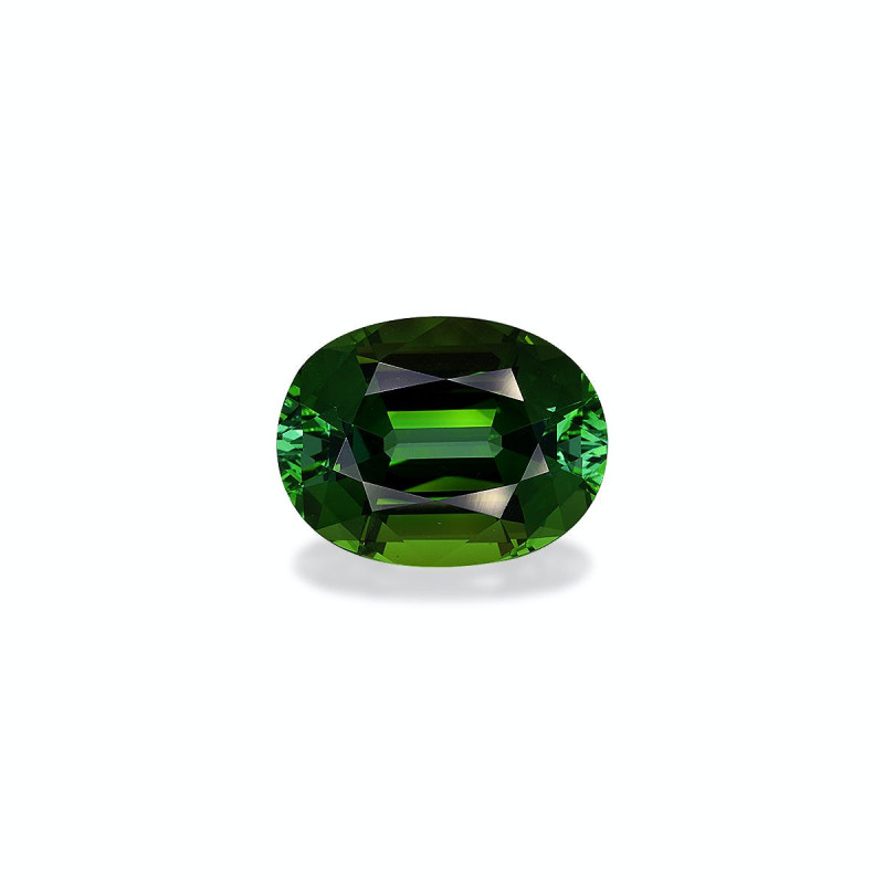 Tourmaline Verte taille OVALE Forest Green 16.76 carats