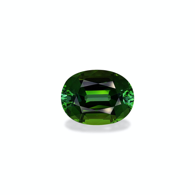 Turmalina Verde taille OVALE Forest Green 16.76 carats