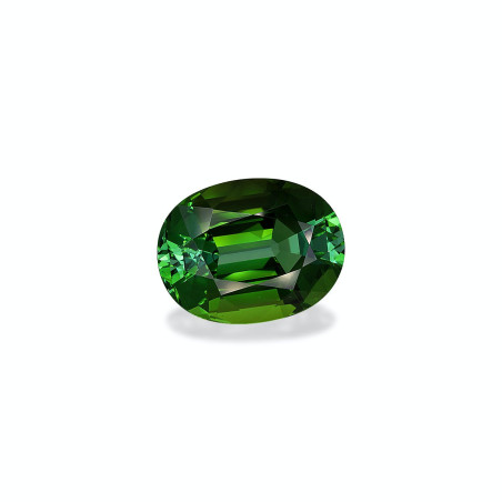 Turmalina Verde taille OVALE Forest Green 16.76 carats