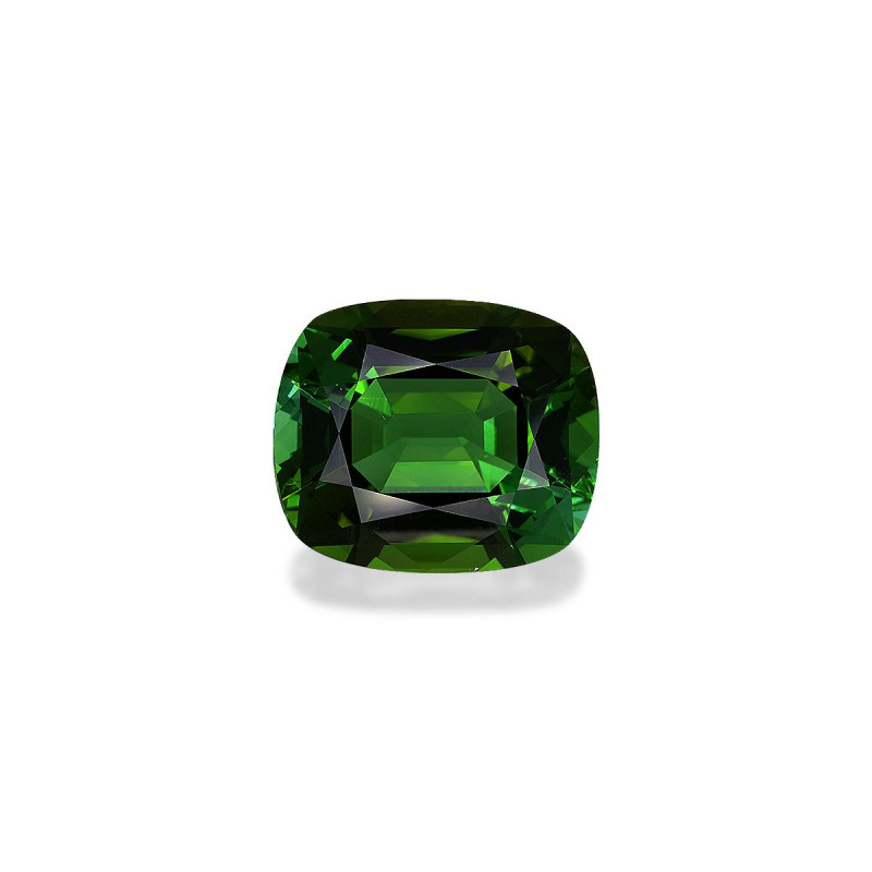Tourmaline Verte taille COUSSIN Forest Green 17.43 carats