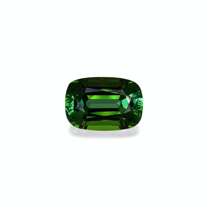 Tourmaline Verte taille COUSSIN Forest Green 20.66 carats
