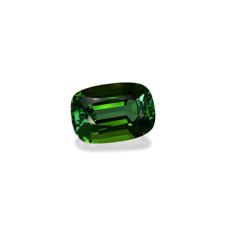 Turmalina Verde taille COUSSIN Forest Green 20.66 carats