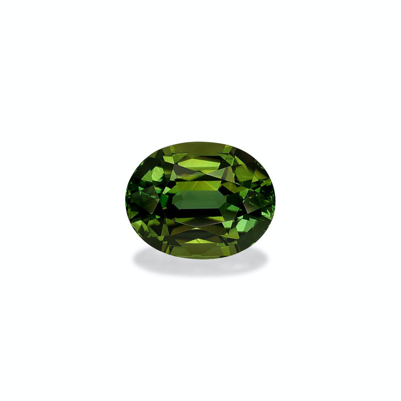 OVAL-cut Green Tourmaline Moss Green 8.40 carats