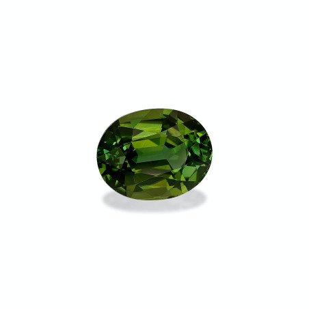 Turmalina Verde taille OVALE Moss Green 8.40 carats